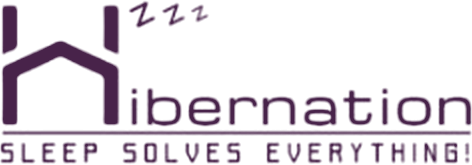 Hibernation - Sleep Solves Everything